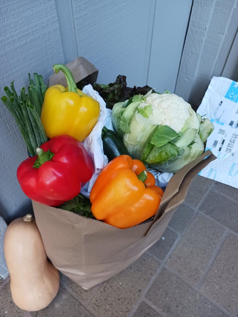 A Vita Verde delivery bag filled with cauliflower, peppers, squash, green onions, and leafy greens