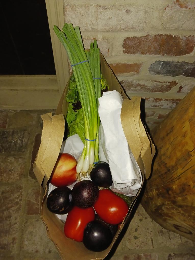 A Vita Verde paper bag with tomatoes, plums, an apple, herbs, and green onions